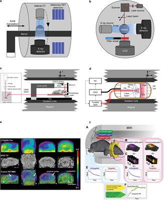 Recent Technical Advances in Accelerating the Clinical Translation of Small Animal Brain Imaging: Hybrid Imaging, Deep Learning, and Transcriptomics